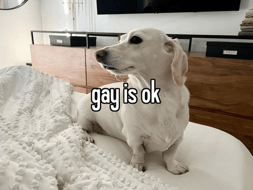 Homophobic Dog GIF - Homophobic Dog GIFs