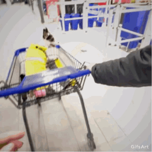 a person is pushing a shopping cart with a dog in it ..