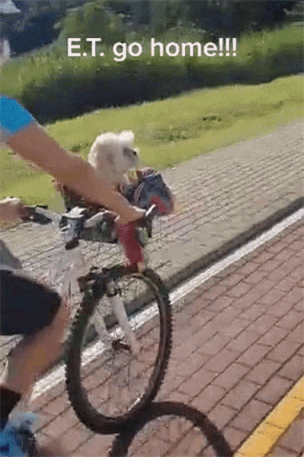 a person is riding a bike with a dog in a basket and the words " e.t. go home " above it