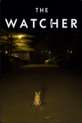 a poster for the watcher shows a cat sitting on the street