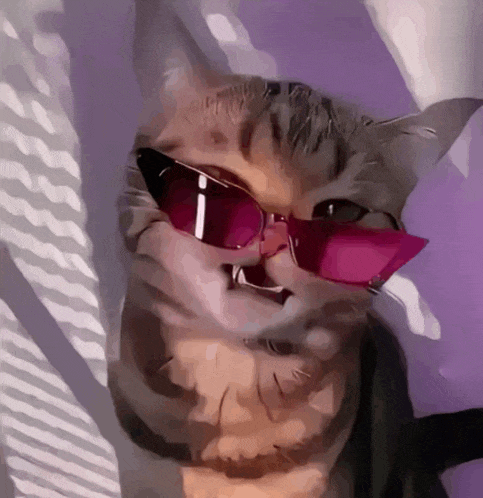 a painting of a cat wearing pink sunglasses against a purple background