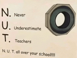 a drawing of a nut with the words " n. never underestimate teachers n.u.t. all over your school "