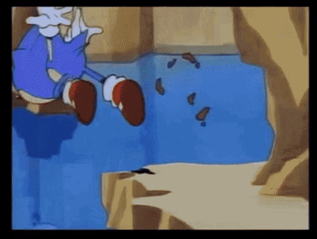 a cartoon of sonic the hedgehog jumping off a cliff into a pool of water .