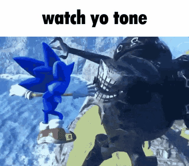 a cartoon of sonic the hedgehog standing next to a skeleton in a video game .