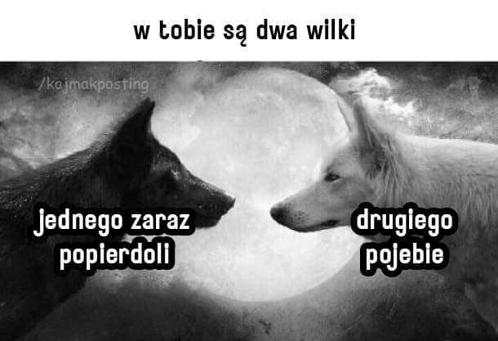 Popierdoli Pojebie GIF - Popierdoli Pojebie Dwa Wiliki GIFs