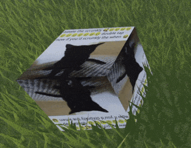 a cube with a picture of a cat and the words " now if you 'd scrunchly the when " written on it