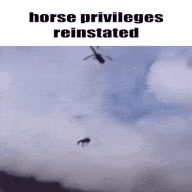 Horse Reinstated GIF - Horse Reinstated Privileges GIFs