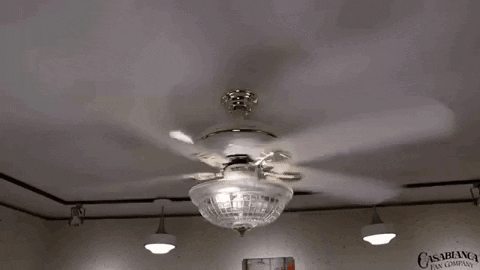Ceiling Fan Fail GIF - Ceiling Fan Fail GIFs