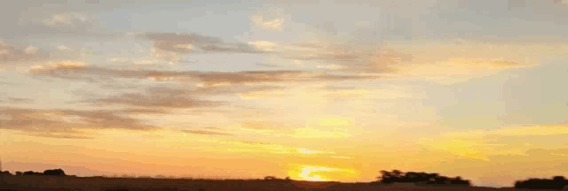 a sunset with trees in the foreground and a cloudy sky