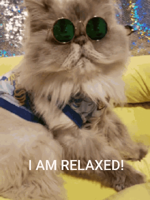 Relaxed Cute GIF - Relaxed Relax Cute GIFs