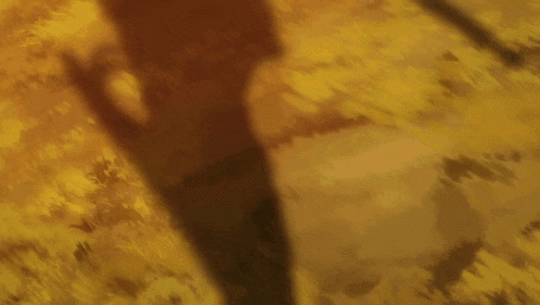 a car is driving down a dirt road surrounded by grass