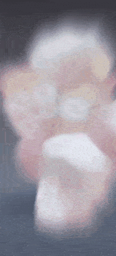a blurry picture of a person 's face with a pink flower in the foreground .
