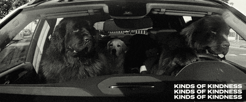 three dogs are sitting in the back of a car with the words kinds of kindness