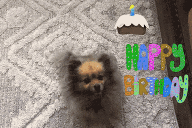 a small dog is standing in front of a birthday cake that says happy birthday