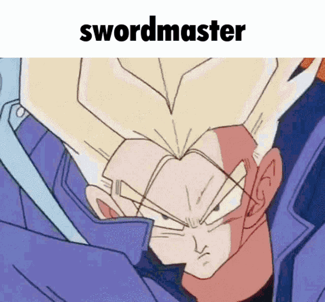 a close up of a cartoon character 's face with the word swordmaster above it