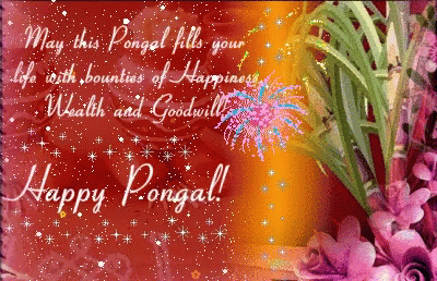 Happy Pongal Fireworks GIF - Happy Pongal Fireworks Goodwill GIFs