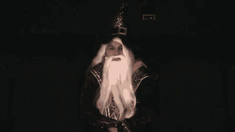 a man in a wizard costume with a beard