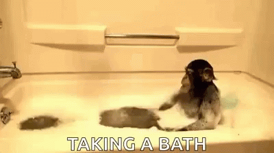 Monkey Taking A Bath GIF - Monkey Taking A Bath Bath GIFs