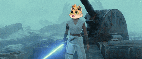 a person with a cat head holding a light saber in front of a cannon