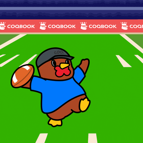 a cartoon drawing of a football field with coqbook banners