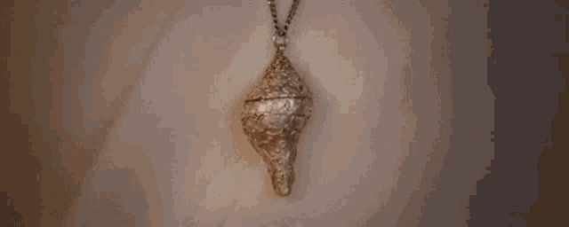 a person is holding a silver necklace with a shell shaped pendant on a chain .