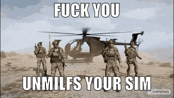 a group of soldiers standing in front of a helicopter with the words fuck you unmilfs your sim