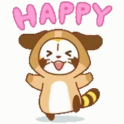 Happy Raccoon GIF - Happy Raccoon Sticker GIFs
