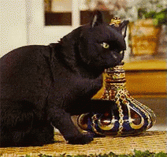 a black cat is playing with a vase on a rug