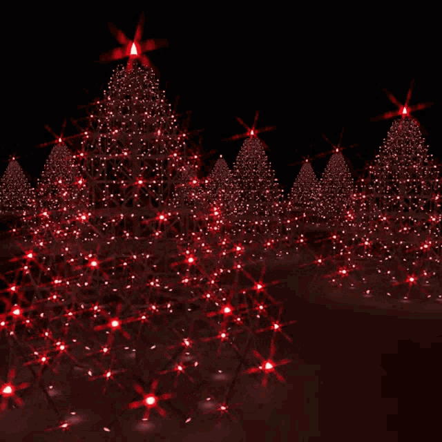 a row of christmas trees with red lights and a star on top