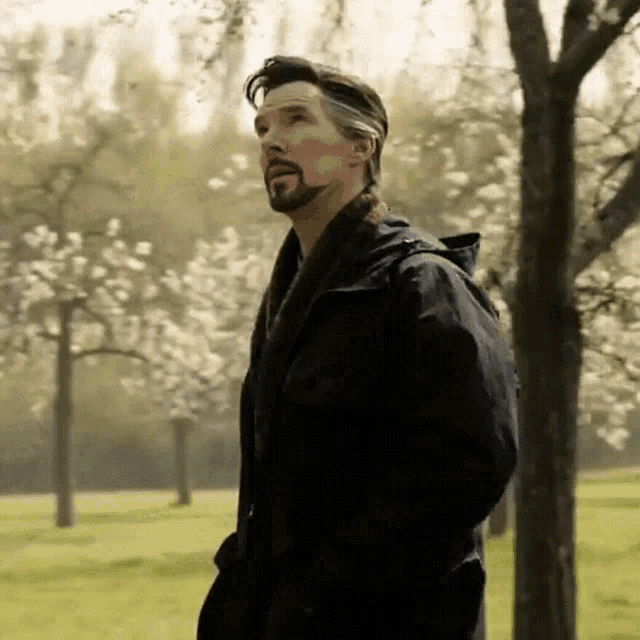 a man with a beard is standing in a park surrounded by trees .