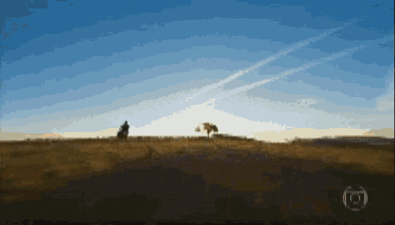 a man riding a horse in a field with a tree in the distance