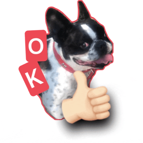 a black and white dog is giving a thumbs up with a sticker that says ok on it