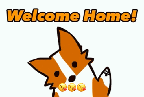 Welcome Home Animated GIF - Welcome Home Animated Dog GIFs