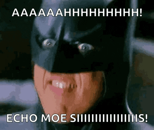 a picture of batman with a caption that says echo moe siiiis