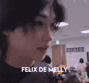 a close up of a person 's face with the name felix de melly written below it