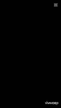 a close up of an orange flower on a black background with the caption " capcut "
