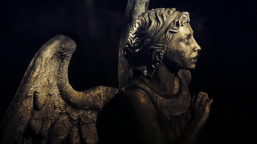 “anything That Holds The Image Of An Angel Is In Itself An Angel.” GIF - Weeping Angel Doctor Who GIFs