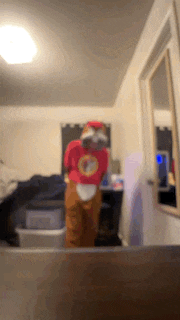 a person in a costume is standing in front of a mirror in a room .