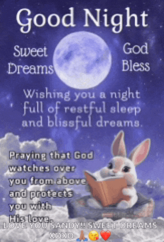 a picture of a rabbit reading a book with the words good night sweet dreams