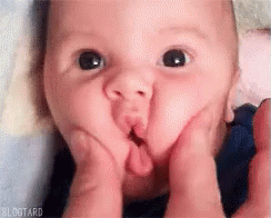 Cutest Ever GIF - Baby Face Squish GIFs