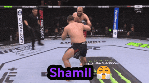 two men are fighting in a boxing ring and the word shamil is on the screen
