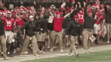 a group of football players and coaches are walking on the field .