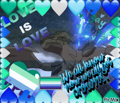 a picture that says love is love on it