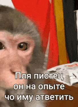 a close up of a monkey 's face with russian writing on it