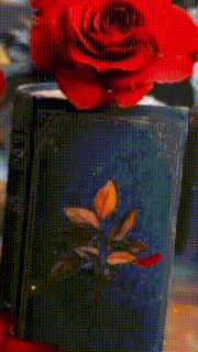 a red rose is sitting on top of a black book