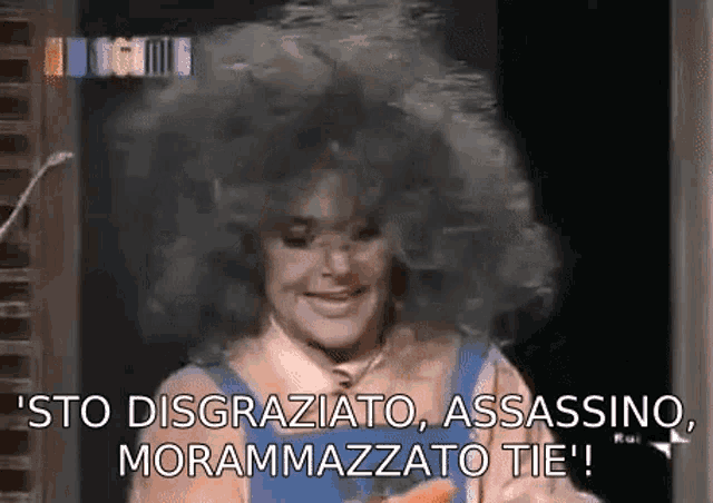 a woman with a very large afro is smiling and talking in a foreign language .