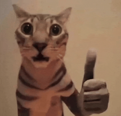 a close up of a cat giving a thumbs up sign .