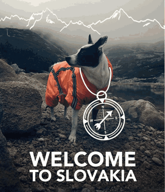 a welcome to slovakia poster with a dog wearing an orange jacket and a compass