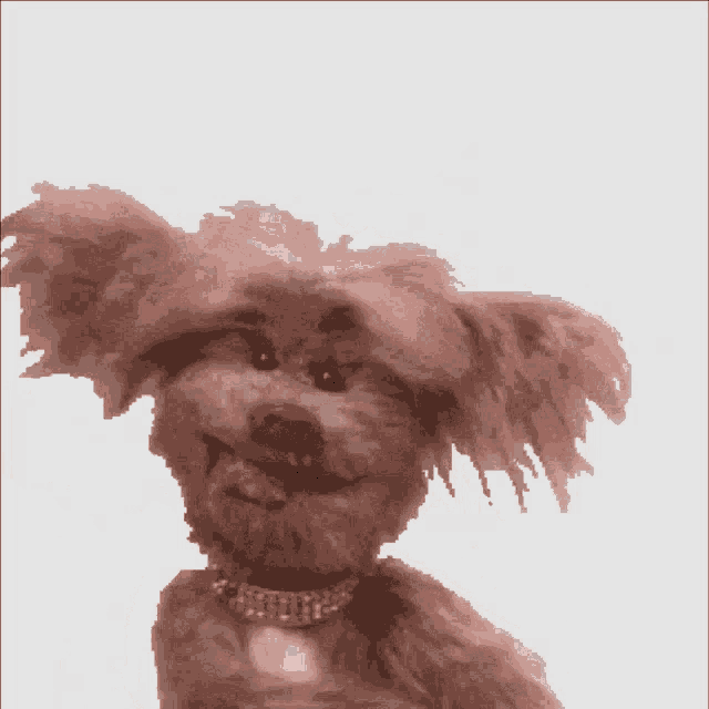 Dog Puppet GIF - Dog Puppet GIFs
