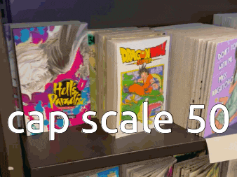 a shelf with books on it and the words cap scale 50 on the bottom